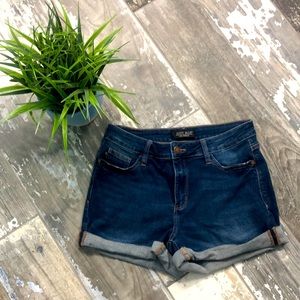 Judy Blue Denim Shorts
